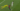 Copa del rey