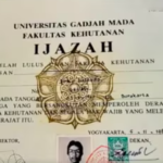 Ijazah