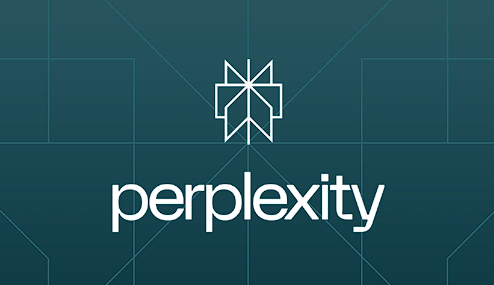 Perplexity