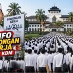Bursa Kerja di Live Tiktok